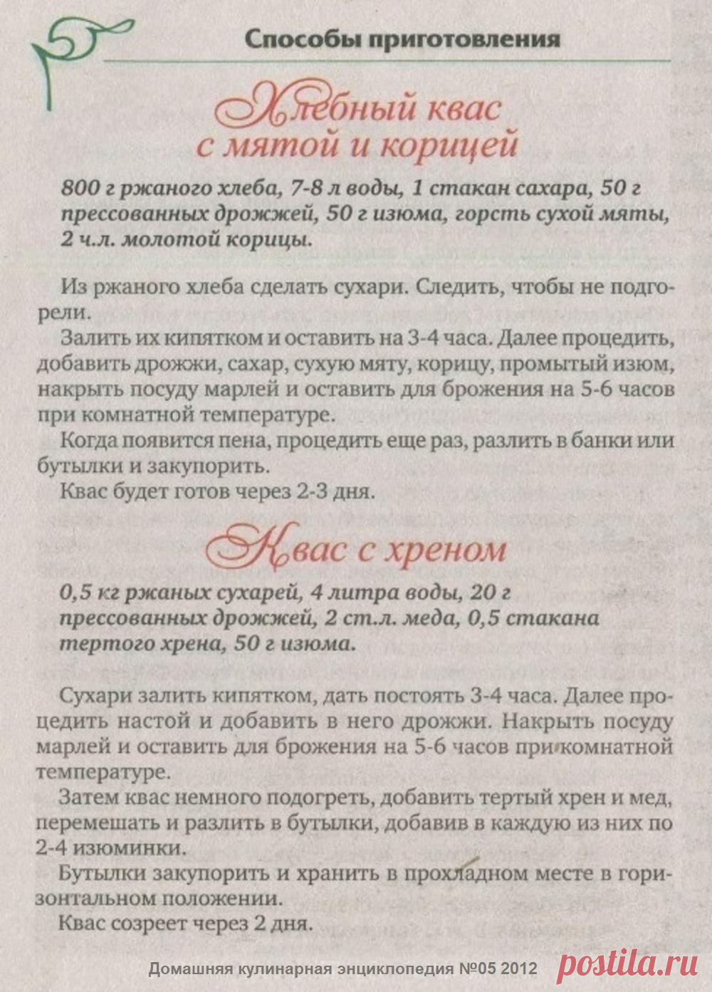 Хлебный квас с мятой и корицей. Квас с хреном