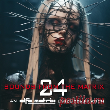 VA - Sounds From The Matrix 024 (2024) 320kbps / FLAC
