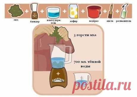 Я И НЕ ЗНАЛА | Записи в рубрике Я И НЕ ЗНАЛА | Дневник lalimur