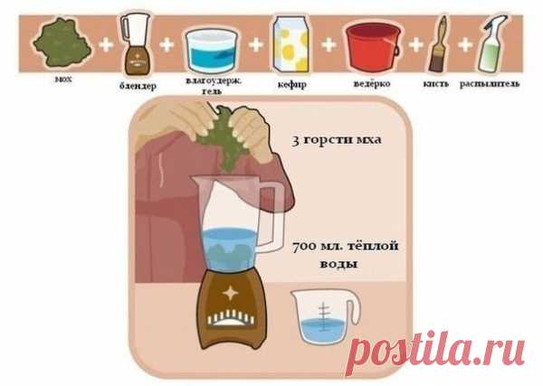 Я И НЕ ЗНАЛА | Записи в рубрике Я И НЕ ЗНАЛА | Дневник lalimur