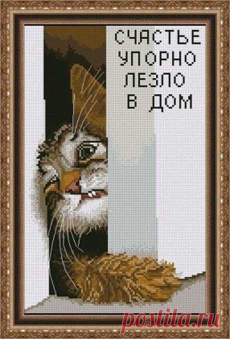 Нужна схема котика