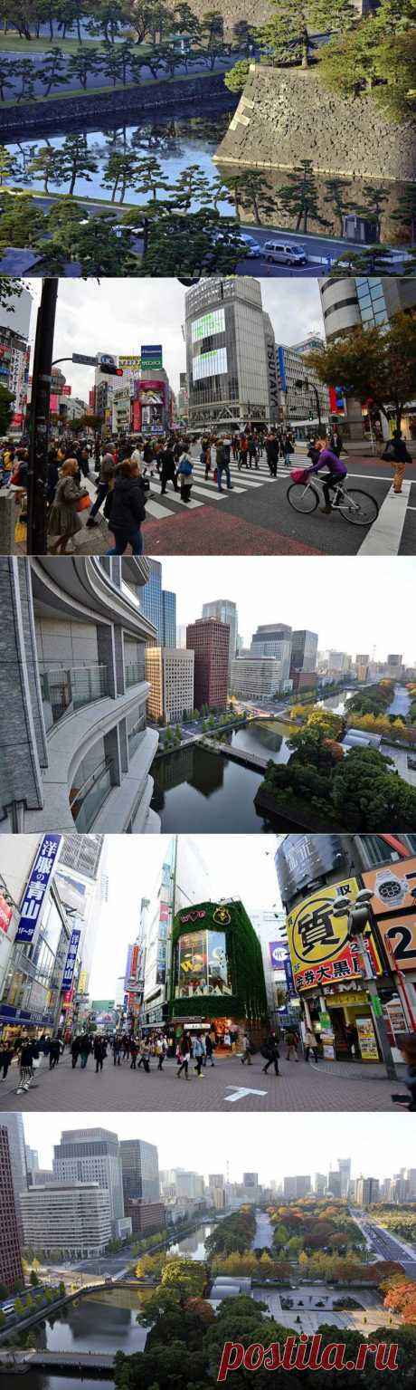 Япония: Токио / Туристический спутник