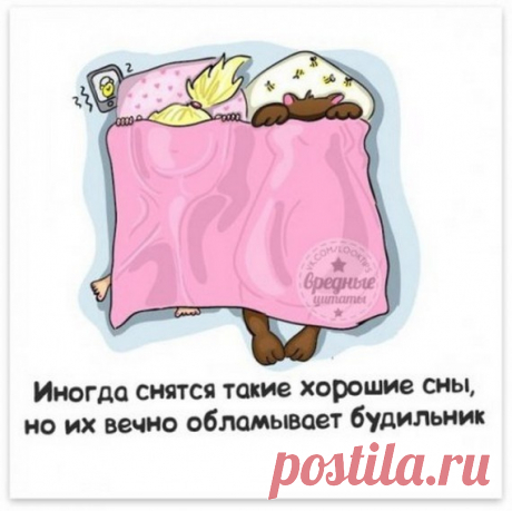 Фразы с картинками / Приколы