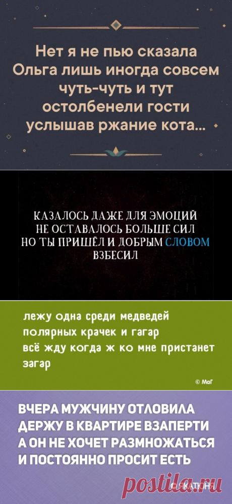 Сосед колотит вечно в стену как тут освоишь барабан | Чеширский кот | Яндекс Дзен