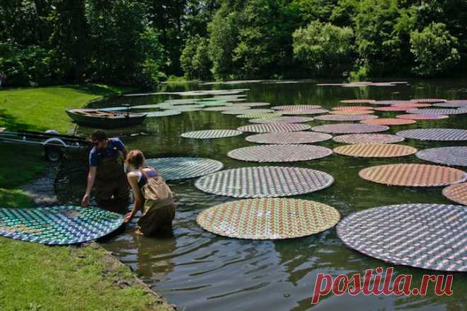 Colorful Floating Waterlilies Made of 65,000 Recycled CDs British artist Bruce Monro has a fascination with light designs and installations, and that passion is evident in many of his massive outdoor artworks. Fro