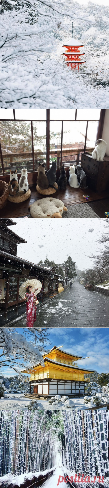 Волшебный Киото в снегу — НеПутевые заметки