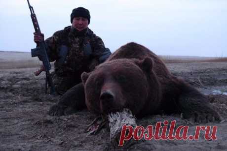 Охота на медве / Богатая добыча