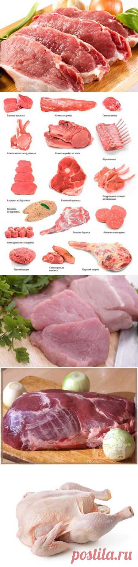 (+1) - Какое мясо выбрать для шашлыка: 8 правил для рынка и магазина | ПОТРЕБИТЕЛЬ, БДИ
