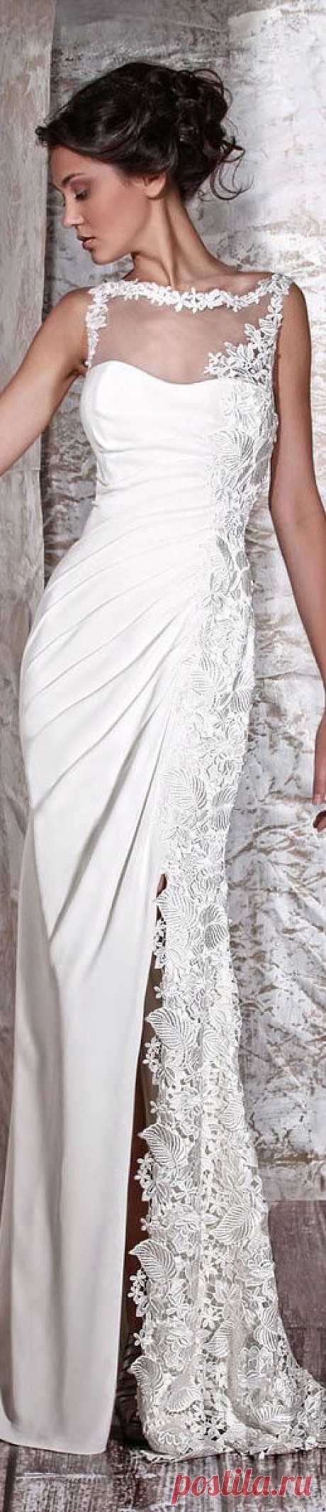 Tony Ward