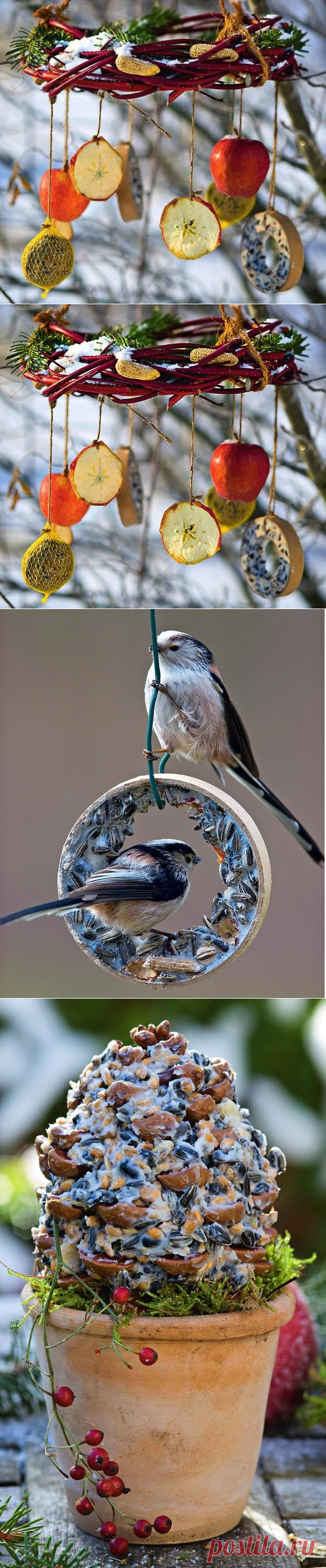 Покормите птиц зимой, или 6 креативных кормушек своими руками
Конец зимы и начало весны — самое голодное время для пернатых. Порадуйте их зернами,...
Читай дальше на сайте. Жми подробнее ➡