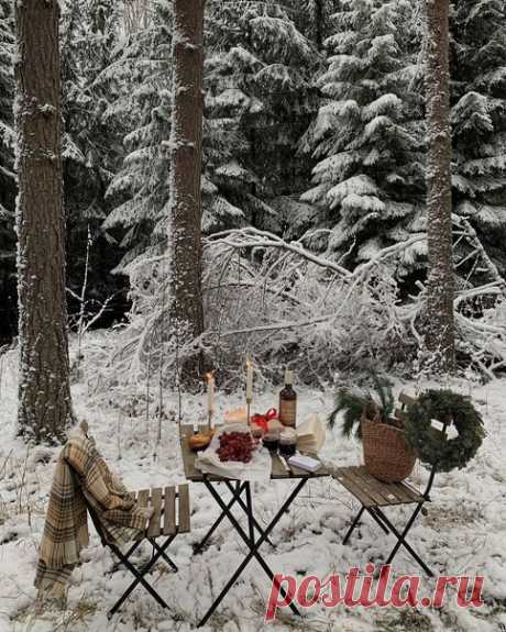 Падал снег, так похожий на звезды, заполнявшие темные деревья, что можно было легко представить, что причина его существования - не более чем красота.

Mary Oliver