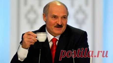 Лукашенко предлагает всех безработных поместить за колючую проволоку