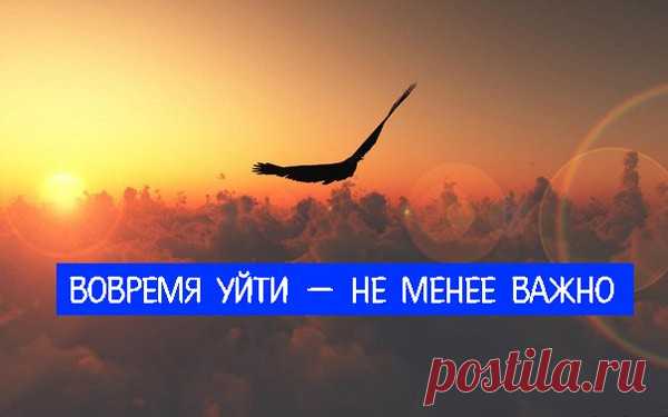 Вовремя уйти — не менее важно