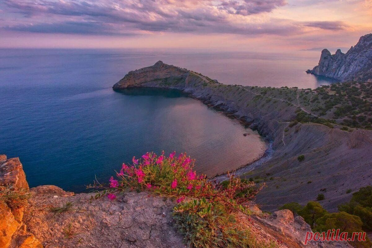 А вы были в крыму. #отзыв #крым #поездка