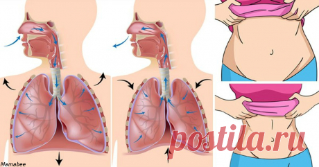 Японский метод похудения Мики Рёсуке – нужно правильно дышать по 10 минут в день!