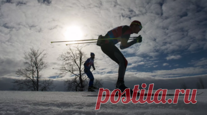 В международный пул тестирования включено больше российских лыжников, чем норвежских. Международная федерация лыжного спорта и сноуборда (FIS) включила в пул допинг-тестирования больше российских лыжников, чем норвежских. Читать далее