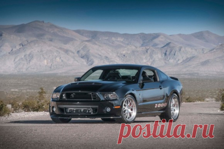Форд мустанг шелби gt 1000 – дикая натура (Ford Mustang Shelby 1000)