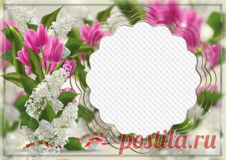 White lilac and pink tulips, photo frame. Transparent PNG Frame, PSD Layered Photo frame template, Download.