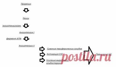 Современные средства для снижения артериального давления | Азбука здоровья