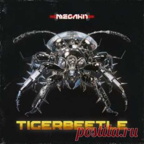 Megahit - Tigerbeetle (2024) [Single] Artist: Megahit Album: Tigerbeetle Year: 2024 Country: Hungary Style: Synthwave