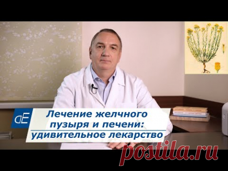 Лечение желчного пузыря и печени: 1 удивительное лекарство: Бессмертник песчаный.