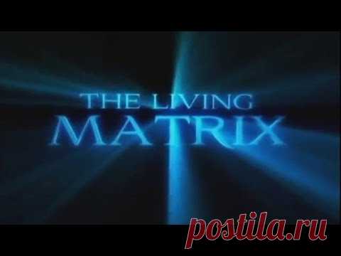 Исцеление всего тела всеисцеляющая матрица. Исцеляющие матрицы. Живая матрица (2009). Матрица в науке. Мы живы матрица.