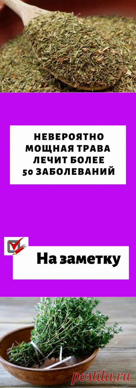 Невероятно мощная трава уничтожает стрептококк, герпес, кандиду, вирус гриппа и лечит более 50 заболеваний