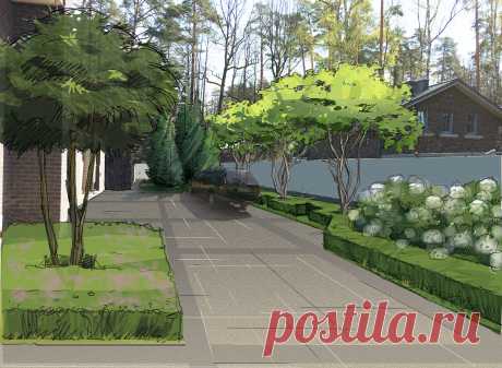 Многоуровневый сад в Жуковке - ARCADIA GARDEN Landscape studio