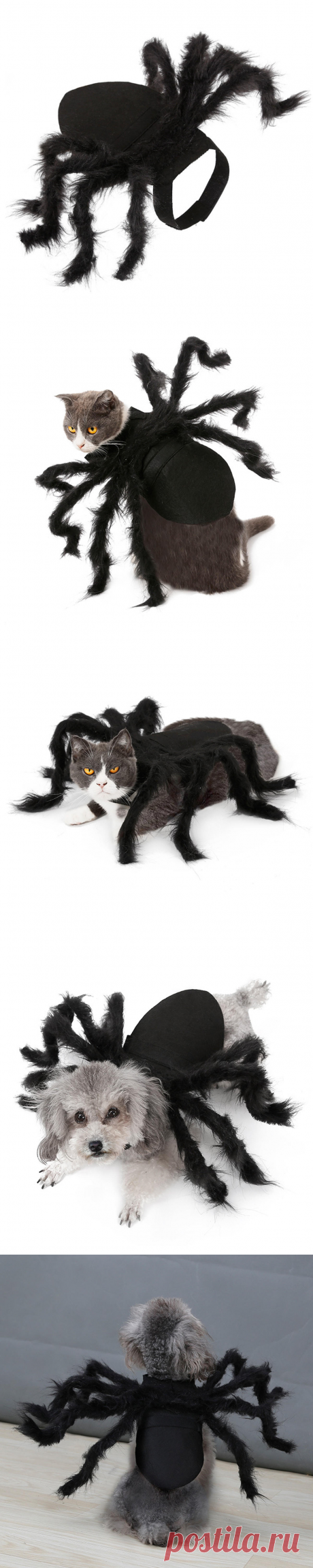 halloween spider pet costume cool cosplay clothes for dog puppy funny party pets supplies  Sale