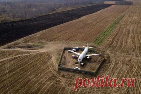 Самолёт «Уральских авиалиний» в поле в Новосибирской области. 12 сентября самолет, летевший из Сочи в Омск, совершил аварийную посадку в поле в Убинском районе Новосибирской области.