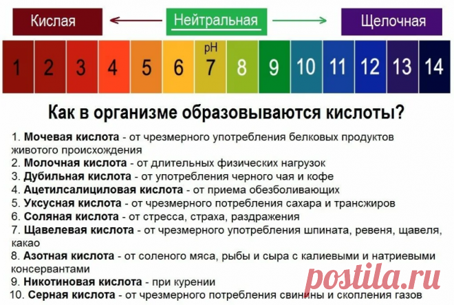 Значение КЩБ(кислотно-щелочного баланса) для человека. Как я привожу его в норму и в долгосрочную перспективу | Bereg1nya | Яндекс Дзен