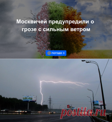 Москвичей предупредили о грозе с сильным ветром - Погода Mail.ru