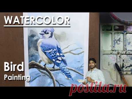How to Paint Bird in Watercolor | Watercolor Blue Jay Painting | step by step | Supriyo