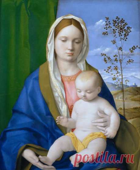«Мадонна с Младенцем» картина - Джованни Беллини