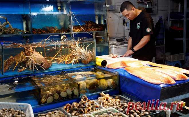 Китай запретил ввоз морепродуктов из Японии из-за слива воды с Фукусимы. Главное таможенное управление КНР полностью запретило импорт морепродуктов из Японии с 24 августа. Южная Корея также продлила запрет на импорт японских морепродуктов из восьми префектур, включая Фукусиму