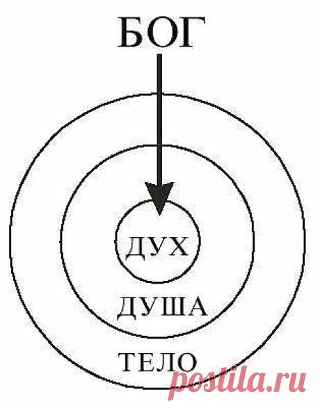 Шишковидная железа и духовное развитие.