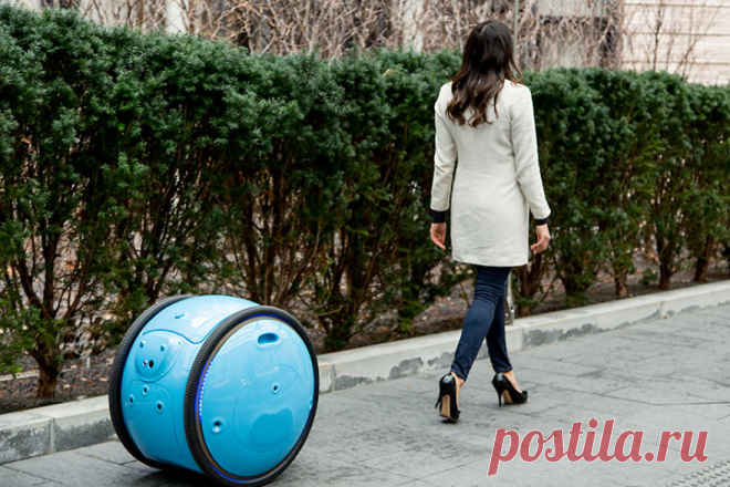 Изобретён робот-помощник, который умеет носить хозяйские вещи | Чёрт побери Если вы при просмотре «Звёздных войн» мечтали о собственном дроиде, который будет везде следовать за вами, носить ваши вещи и помогать делать работу по дому, то теперь ваша мечта вполне может стать реальностью.      Компания «Piaggio Fast Forward«, находящаяся в Бостоне (США), изобрела робота-помощника под названием «Гита», который ни в чём не уступает роботизированным героям из известной космическ...