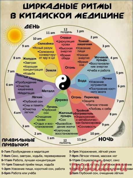 Строго по расписанию: почему китайцы едят только в 12 дня и спят на рабочем месте • НОВОСТИ В ФОТОГРАФИЯХ