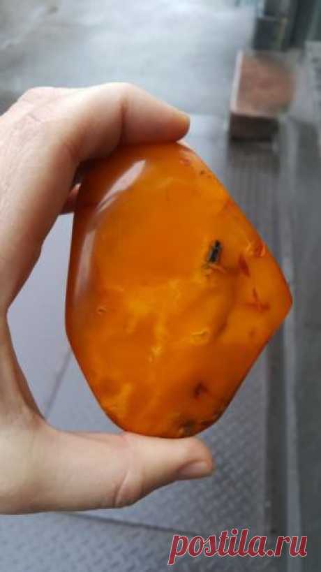 Natural Old Antique Yellow Butterscotch Egg Yolk Baltic Amber Stone 93 52 GR | eBay