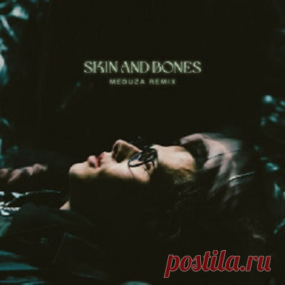 David Kushner - Skin & Bones (MEDUZA Remix) free download mp3 music 320kbps