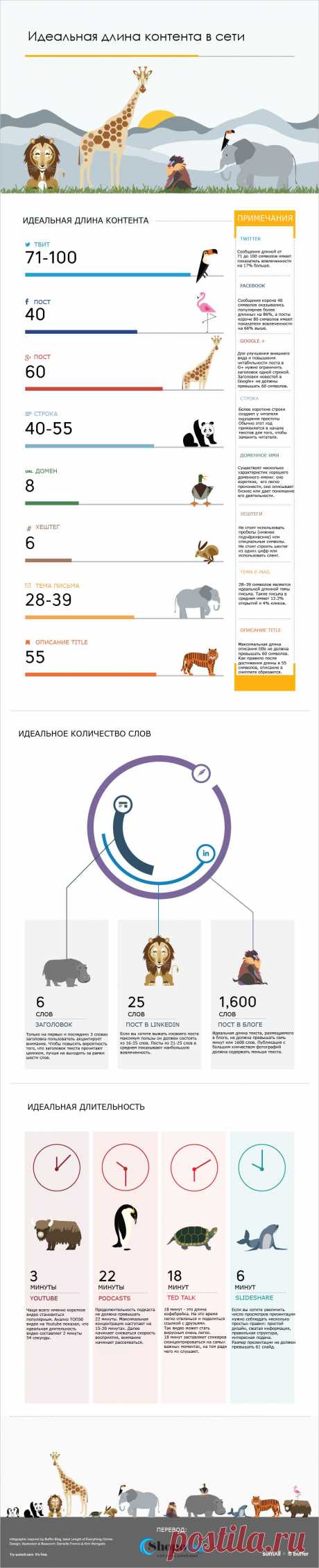 Инфографика: Идеальная длина контента в сети