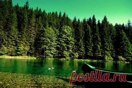 Download Wallpaper forest, river, boat, nature HD background