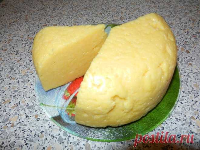 Cыр из творога в домашних условиях - пошаговый рецепт с фото на Повар.ру