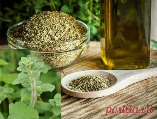 Топ натуральных антибиотиков, которые найдутся на каждой кухне