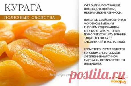 Курага полезные свойства