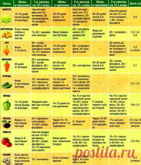 Как вносить удобрения, подкормки для овощей