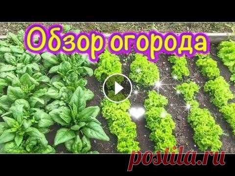 Видео обзор огородов