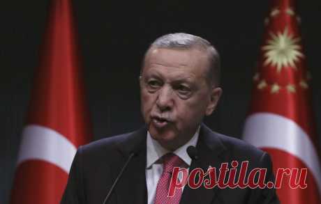 Эрдоган заявил о быстрой работе Турции над введением в эксплуатацию газового хаба