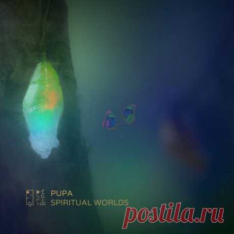 Pupa - Spiritual Worlds [Pinkroom Records]
