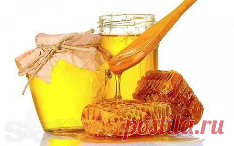 КАК ОПРЕДЕЛИТЬ ФАЛЬШИВЫЙ МЁД?
АРОМАТ. Определить натуральный мёд можно по ДУШИСТОМУ аромату. А вот подделка практически не пахнет.
ЦВЕТ. Каждый сорт мёда обладает определенным цветом. Цветочный мёд имеет светло-жёлтый тёплый оттенок, липовый мёд янтарного цвета, мёд из акации очень светло-желтоватый, а вот мёд из гречки тёмно -коричневый.
- Натуральный мёд НЕ МОЖЕТ БЫТЬ ЯРКОГО, режущего глаз искусственного цвета.
ОДНОРОДНОСТЬ. Если присмотреться, то натуральный мёд будет не слишком однородным